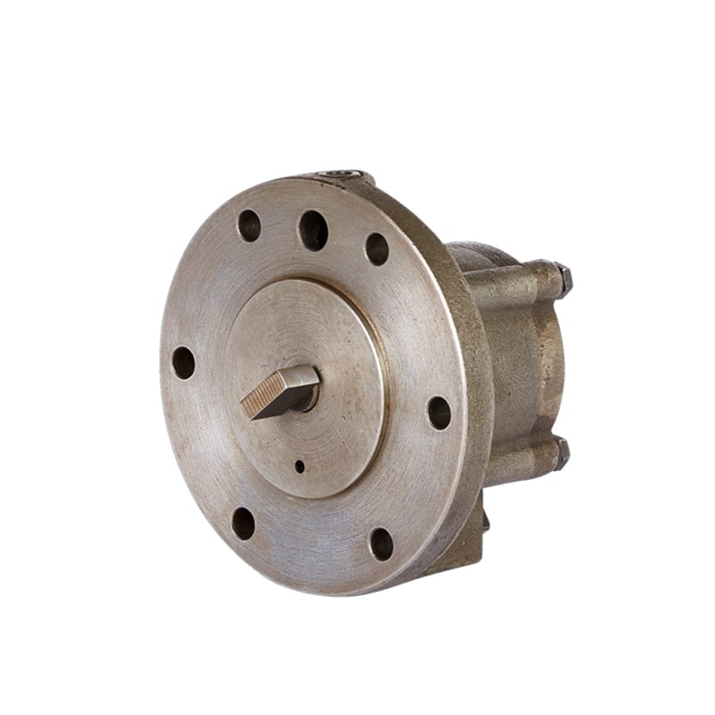 Low noise cycloid electric gear pump